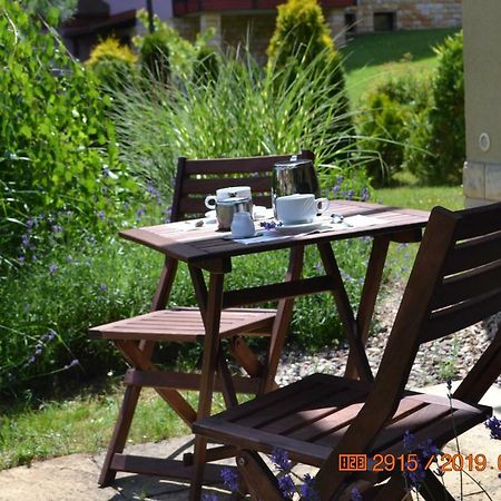 Apartament Parkowa Polana Z Ogrodem Apartment โปลานิซา-สดรอยจ์ ภายนอก รูปภาพ